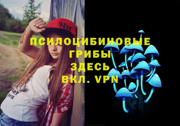 стаф Алексеевка