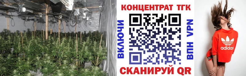 ТГК вейп с тгк  купить наркотики сайты  Богданович 