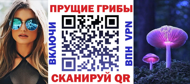 Галлюциногенные грибы GOLDEN TEACHER наркота ОМГ ОМГ зеркало Богданович